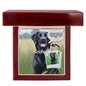 Dog Personalized Name Necklace and Custom Cartoonified Message Card