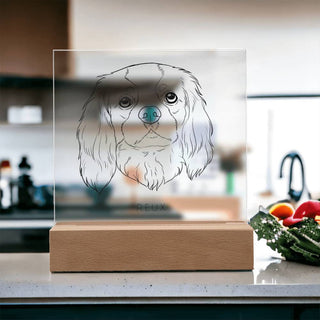 Pet Portrait | Custom Line Art | Square Acrylic Plaque