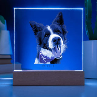 Pet Portrait | Custom Vector Art | Square Acrylic